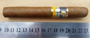 Cohiba Siglo II Cigars - 1 Single Cigar