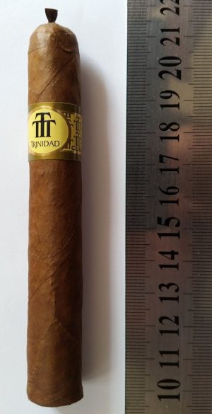 Trinidad Reyes Cigar - 1 Single Cigar