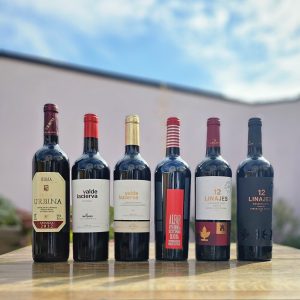 Rioja and Ribera del Duero Wine Sampler Case - 6 x 75cl bottles