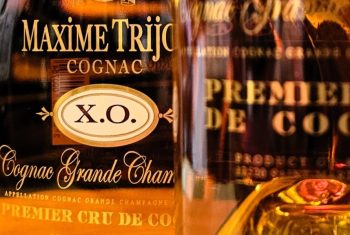 Cognac Maxime Trijol Masterclass